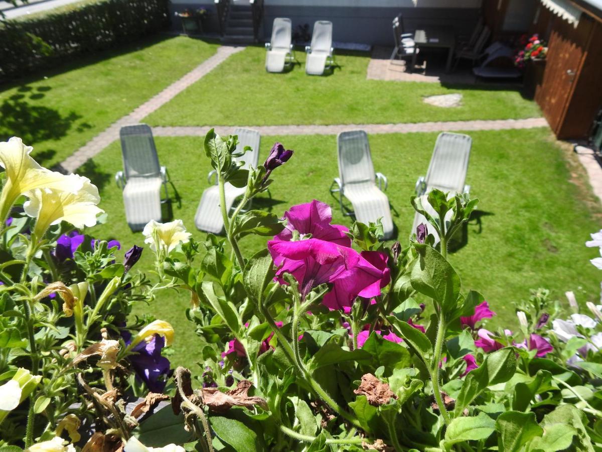 Pension Alpenrose Zell am See Dış mekan fotoğraf