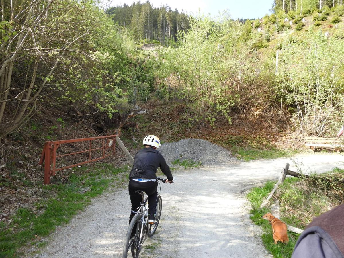 Pension Alpenrose Zell am See Dış mekan fotoğraf