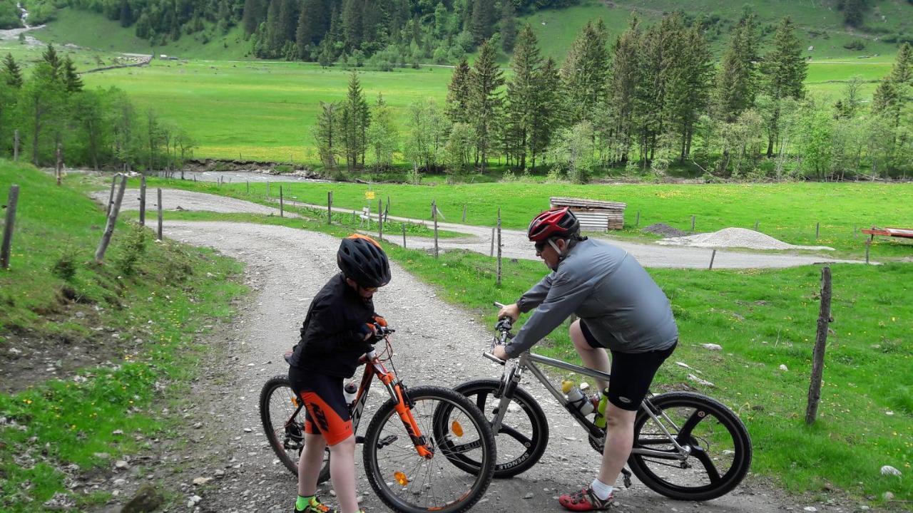 Pension Alpenrose Zell am See Dış mekan fotoğraf