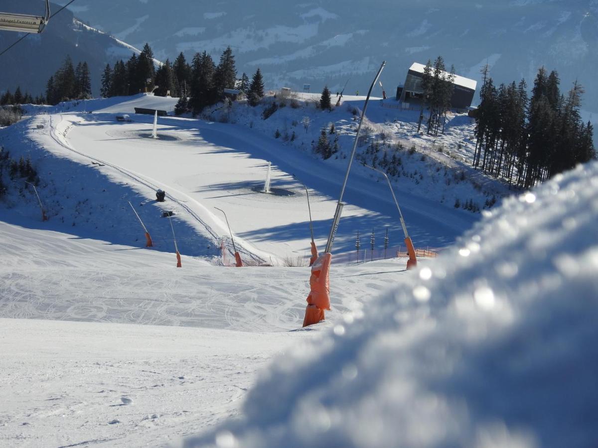 Pension Alpenrose Zell am See Dış mekan fotoğraf