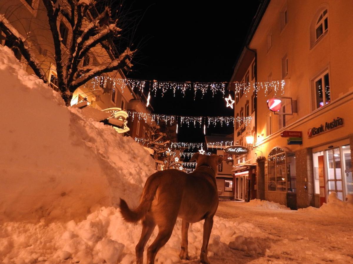 Pension Alpenrose Zell am See Dış mekan fotoğraf