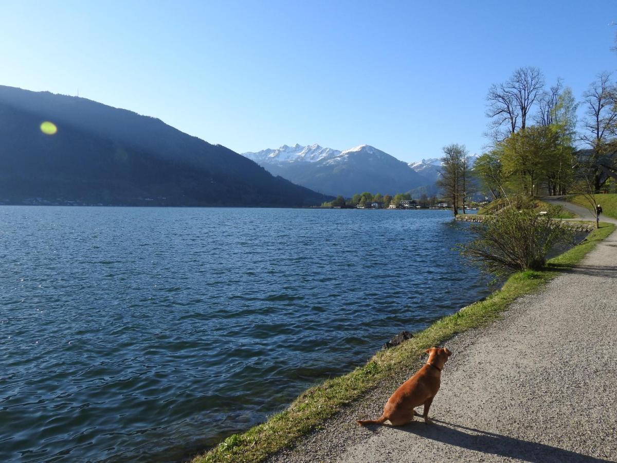 Pension Alpenrose Zell am See Dış mekan fotoğraf