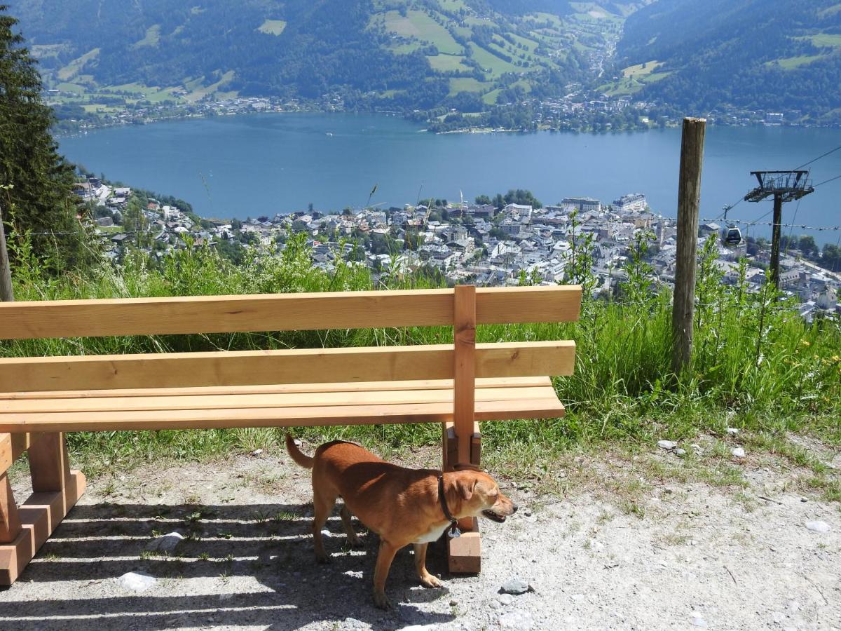 Pension Alpenrose Zell am See Dış mekan fotoğraf