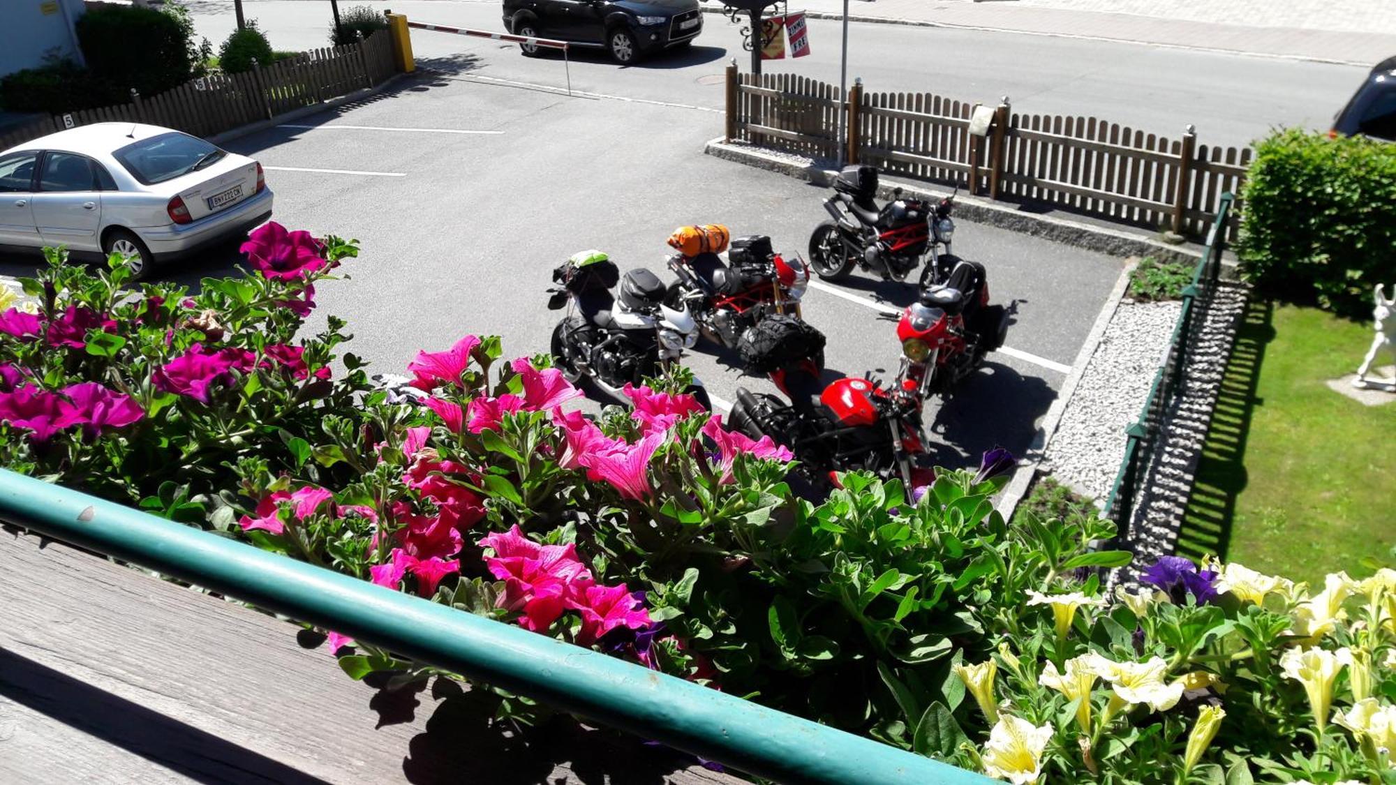 Pension Alpenrose Zell am See Dış mekan fotoğraf