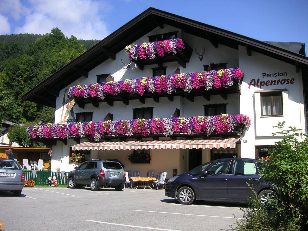 Pension Alpenrose Zell am See Dış mekan fotoğraf