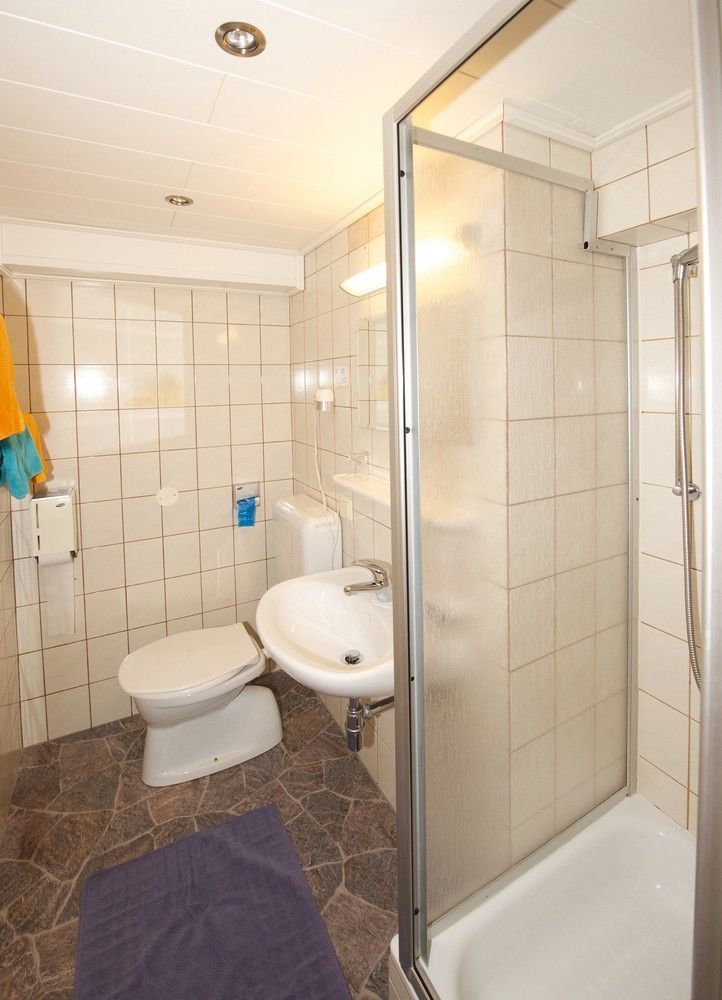 Pension Alpenrose Zell am See Dış mekan fotoğraf