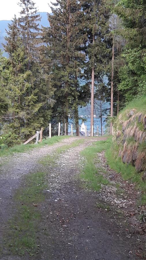 Pension Alpenrose Zell am See Dış mekan fotoğraf