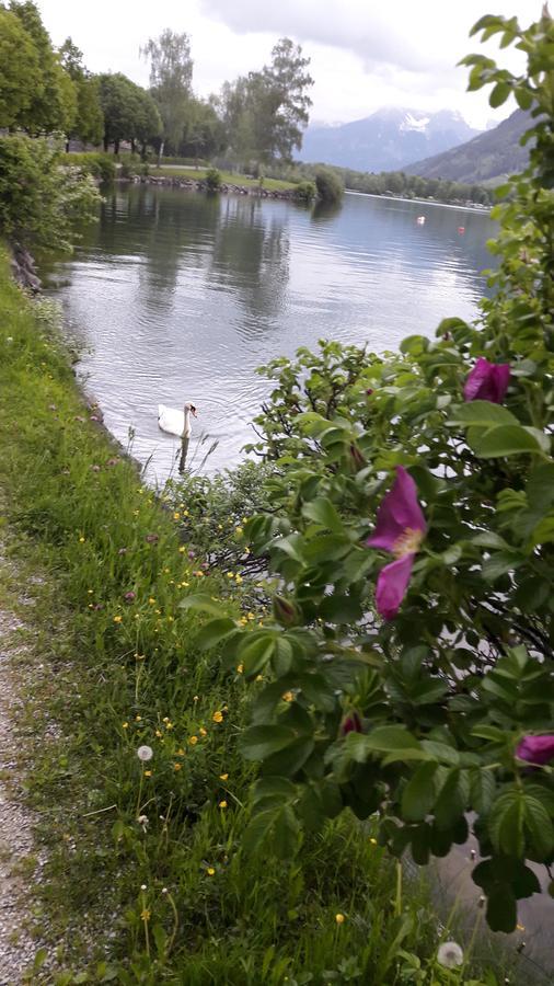 Pension Alpenrose Zell am See Dış mekan fotoğraf